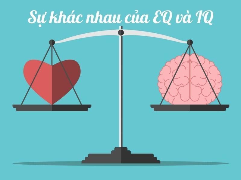 Sự khác nhau của EQ và IQ